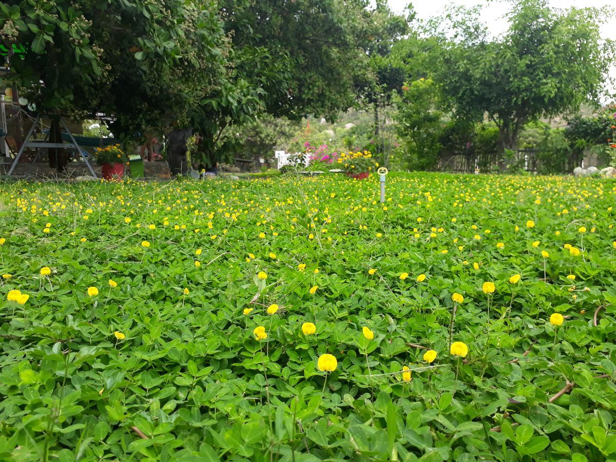 Dao Hoa Vang Villa Cam Ranh Exterior foto